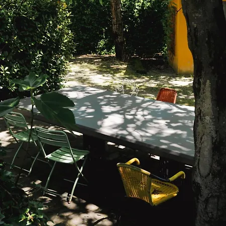 Guest house Il Ciliegio Prato (Prato)